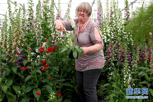 一名女士在布置展位