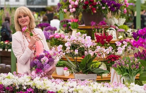 切爾西花展 切爾西花展——園林愛好者的盛事