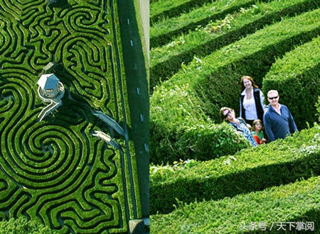 英國最長的樹籬迷宮