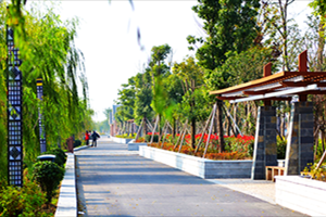 民宿升級為田園綜合體會有轉機嗎？