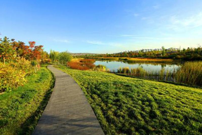 山西省委書記樓陽生：建設(shè)地綠水清天藍(lán)的美麗家園