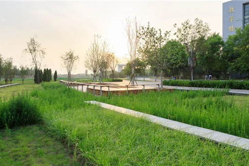 阿普貝思 丨遷安海綿城市建設成果