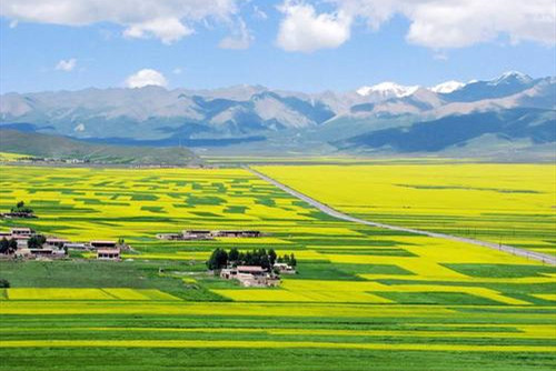 以生態(tài)振興推動(dòng)實(shí)現(xiàn)鄉(xiāng)村振興