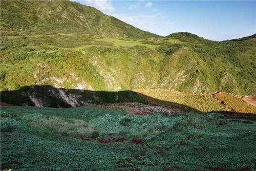 花式復(fù)綠暴露出哪些問(wèn)題?