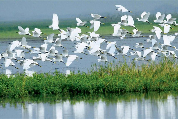 新的自然保護地管理體系優(yōu)勢何在