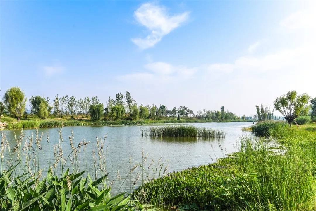 生態(tài)保護修復(fù)考驗國土空間治理能力