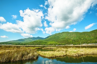 科學(xué)務(wù)實(shí)構(gòu)建生態(tài)修復(fù)新格局