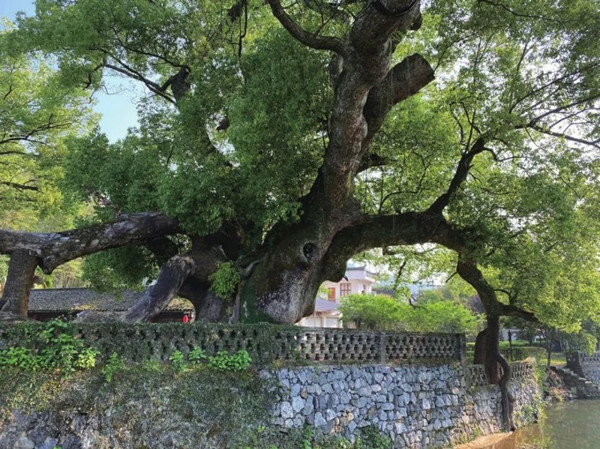 俞孔堅(jiān):欲望與景觀