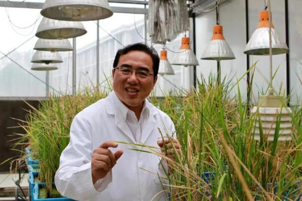 陳劍平院士解讀《鄉村振興促進法》