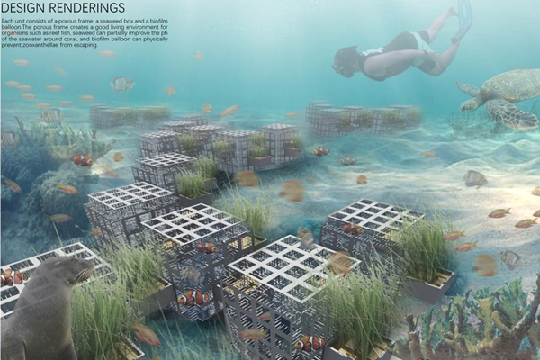 第十二屆園冶杯一等獎(jiǎng)作品《White Crisis——印尼西海岸珊瑚保護(hù)計(jì)劃》解讀