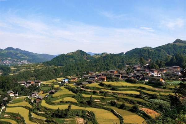 鄉村振興，設計師如何大有作為？