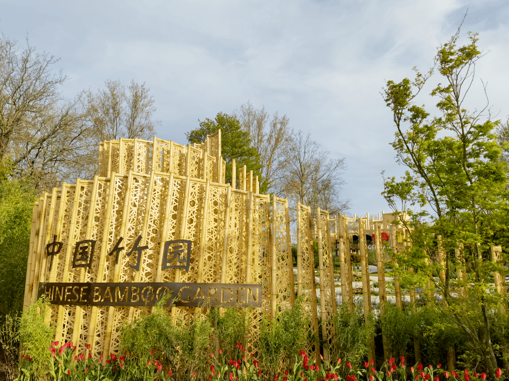2022荷蘭世園會開幕 “中國竹園”精彩亮相