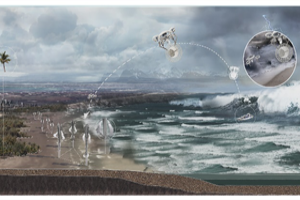 第十三屆園冶杯一等獎(jiǎng)作品賞析丨逆風(fēng)而上