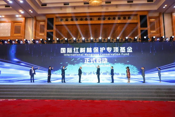 我國首次舉辦國際紅樹林保護(hù)高級別論壇