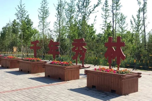 國(guó)家林草局：將對(duì)大規(guī)模國(guó)土綠化重點(diǎn)進(jìn)行調(diào)整