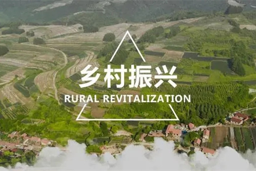 代表委員熱議兩會：有力有效，推進鄉村全面振興