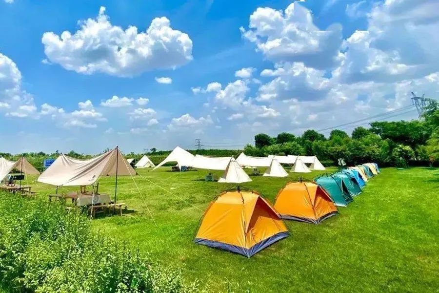 這個火熱的暑期，文旅市場有哪些看點？