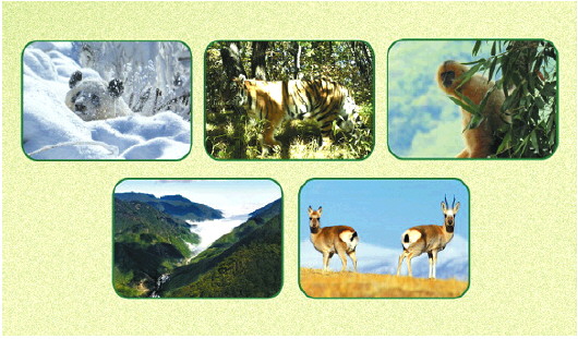 首批五個國家公園都有了“戶口本”